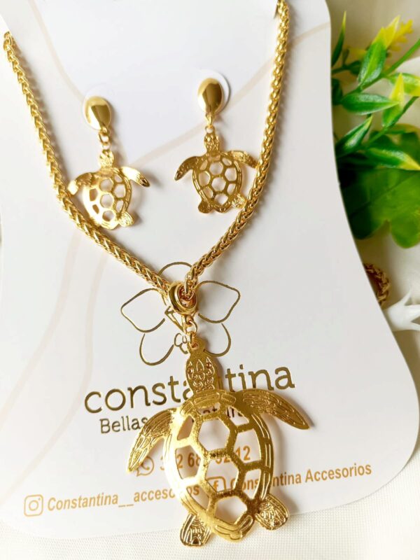 Set Tortuga Bronce
